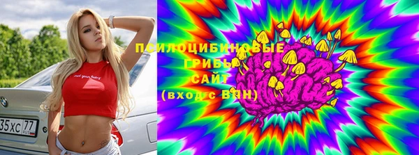 прущая мука Аркадак